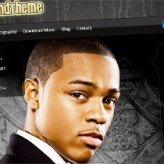 Various 5 Band Website Theme